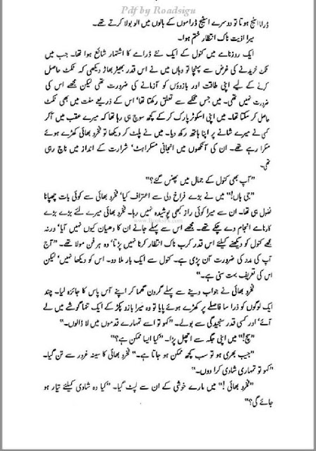 Zaleel By M Ilyas Urdu Novel PDF Download Sample