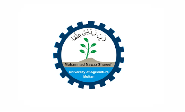 Latest MNS University of Engineering and Technology Management Posts Multan 2022