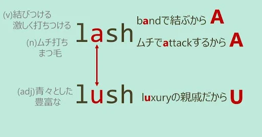 lash, lush, スペルが似ている英単語