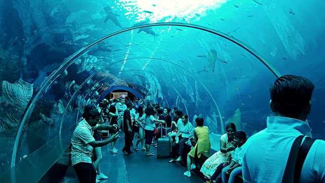 underwater glass tunnel at S.E.A. Aquarium of Resorts World Sentosa, Singapore