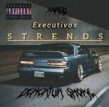 Executivos - Strends