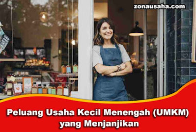 Peluang Usaha Kecil Menengah (UKM) yang Menjanjikan