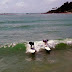 Itacaré, o paraíso do surf na Bahia