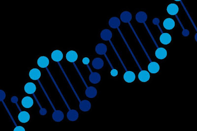 Isothermal Nucleic Acid Amplification Technology