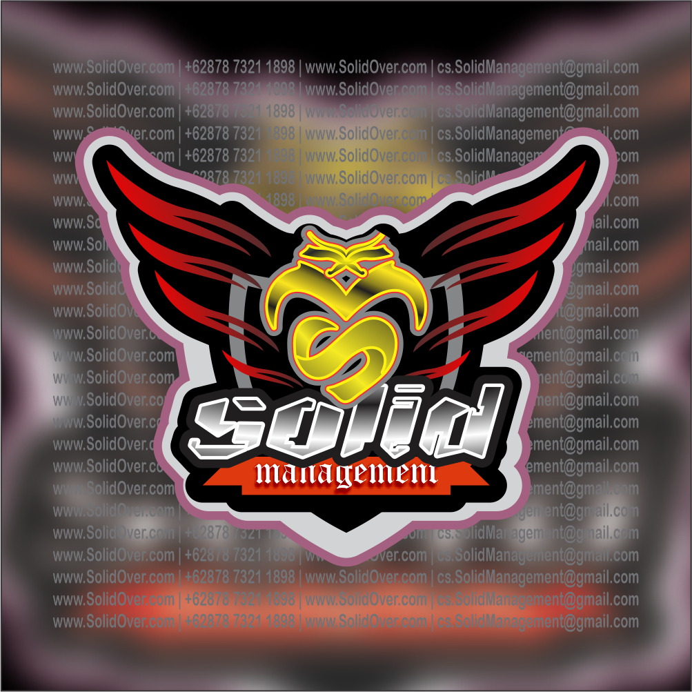 Logo "Solid Management" 