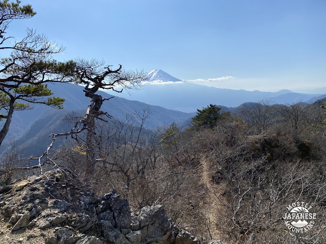 Mt. Fuji from Mt. Seihachi.  (清八山)