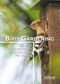 Bird Gardening