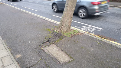 Photo of the base of a tree with cracks in an asphalt footway propagating to a telecommunications pit.