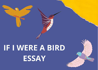 If I Were a Bird Essay in English For Students in 300+ Words