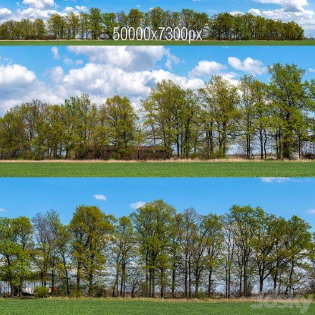 Panorama With Trees V2. 50k