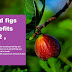 Dried figs benefits 2022' benefits are available by eating dried figs and raisins together,