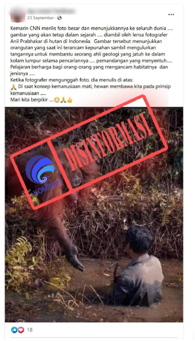 [DISINFORMASI] Foto Orang Utan Mengulurkan Tangan Membantu Seorang Ahli Geologi yang Jatuh ke dalam Kolam Lumpur