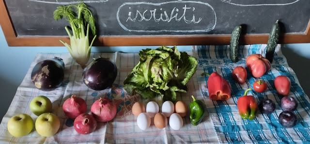 Ti piace la verdura e frutta biologica di stagione ? Tramite la segreteria di questo blog la trovi in zona Rovigo