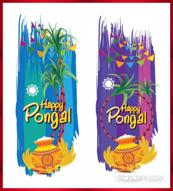 images of pongal