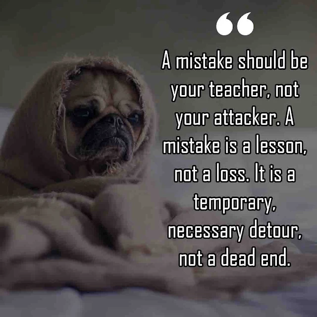 Funny Quotes About Learning from Mistakes
