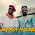 VIDEO | Alikiba Ft. Patoranking - Bwana Mdogo | Mp4 Download