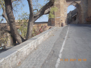 The "RICKSHAW" tour of Chittorgarh Fort.