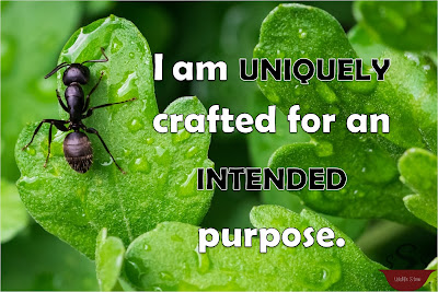 "I am uniquely crafted for an intended purpose" to the right of a black ant close up and left of center on a green leaf.