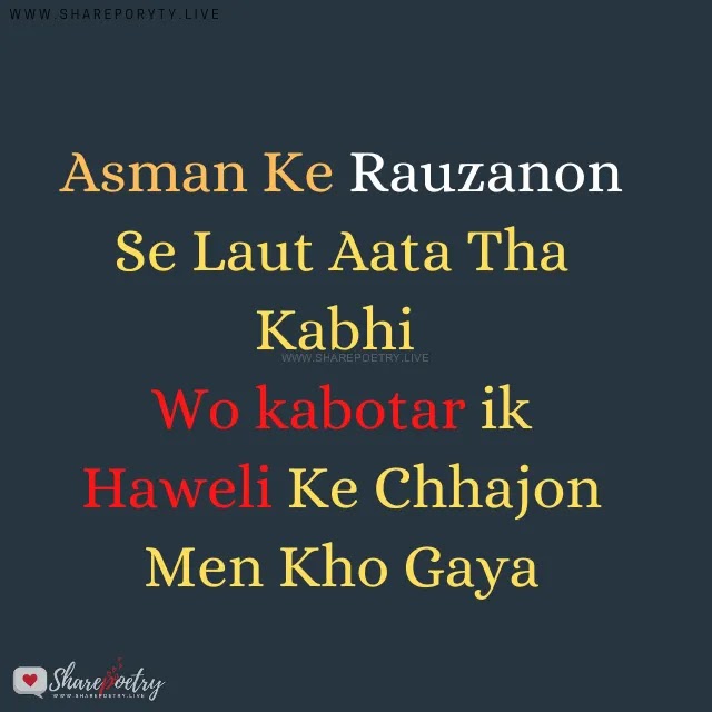 Best Love Poetry In Urdu Romantic 2 Line Copy-Paste 2022