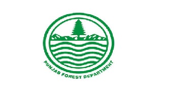 Forest Department Forest Division New Jobs 2022