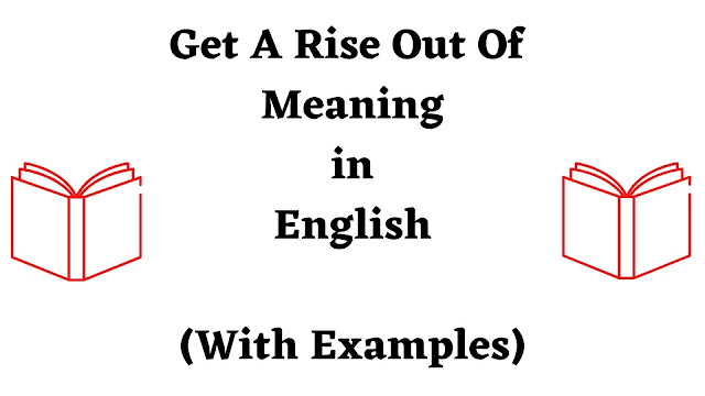 Get A Rise Out Of Meaning in English - Use of Get A Rise Out Of in A Sentence