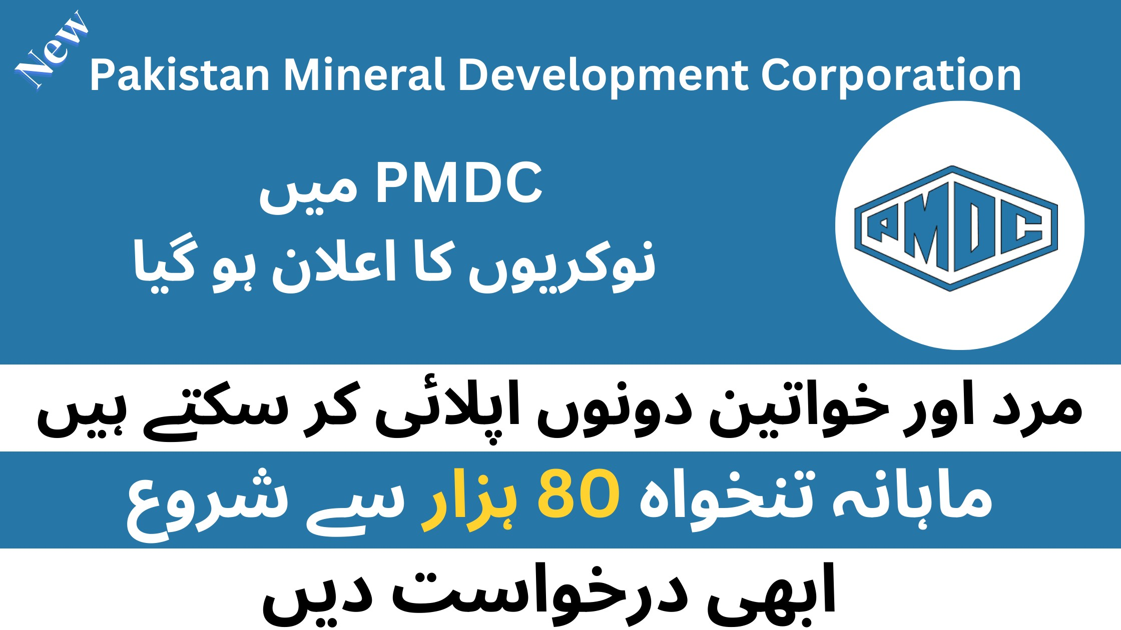 Pakistan Mineral Development Corporation (PMDC) Jobs 2023