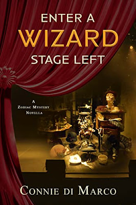 Enter a Wizard Stage Left book cover