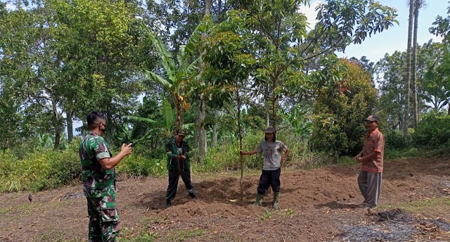 Babinsa Koramil 09/Gunung Talang Beri Motivasi Warga Memanfaatkan Lahan Tidur Menjadi Produktif.