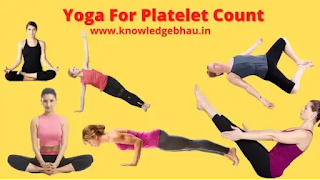 Yoga to Increase Platelet Count