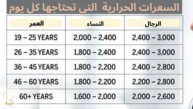 نظام عجز السعرات