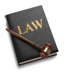 القانون 1 لسنة 2024 بتعديل بعض أحكام قانون الإجراءات الجنائية بشأن استئناف الأحكام الصادرة  فى الجنايات