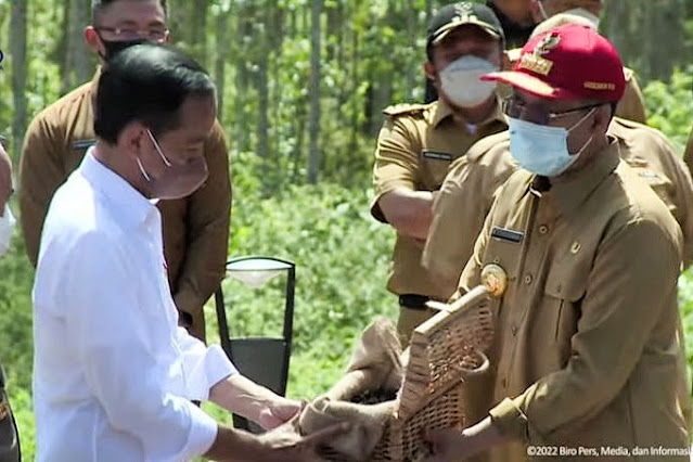 Penuhi permintaan Jokowi, Gubernur NTB bawa air narmada dan tanah Tambora ke IKN