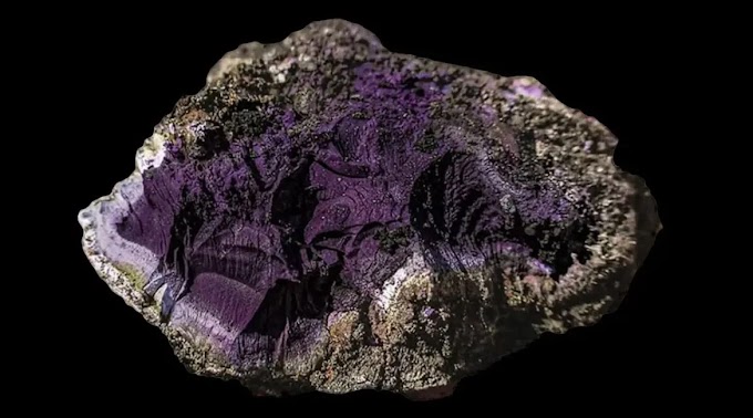 Ανακαλύφθηκε το πρώτο συμπαγές θραύσμα Tyrian Purple – Η ακριβή χρωστική ουσία που σχετίζεται με τους Ρωμαίους αυτοκράτορες