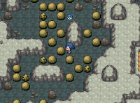 Pokemon Magma Invasion Screenshot 04