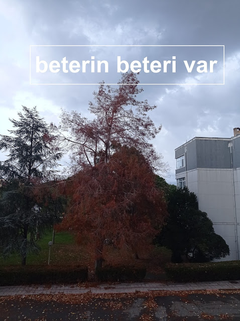 beterin beteri var