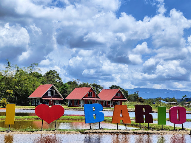 Nancy_Harriss_Homestay_Bario_Sarawak_Twin_Pioneer_Aircraft_Wreck