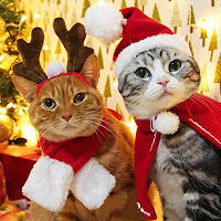 Disfraces de gatos para Navidad