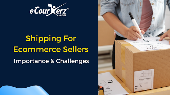 Shipping for eCommerce Sellers - Importance & Challenges