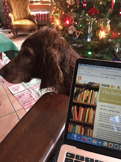 a red dog in profile next to a wooden chair and an open laptop