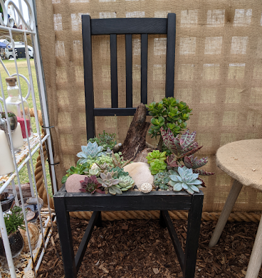 Succulent Chair
