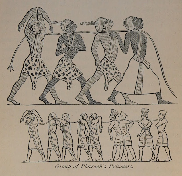 مجموعة من أسرى الفرعون