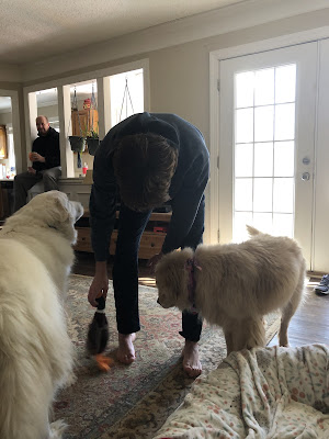 Josh playing with Bella in the family room