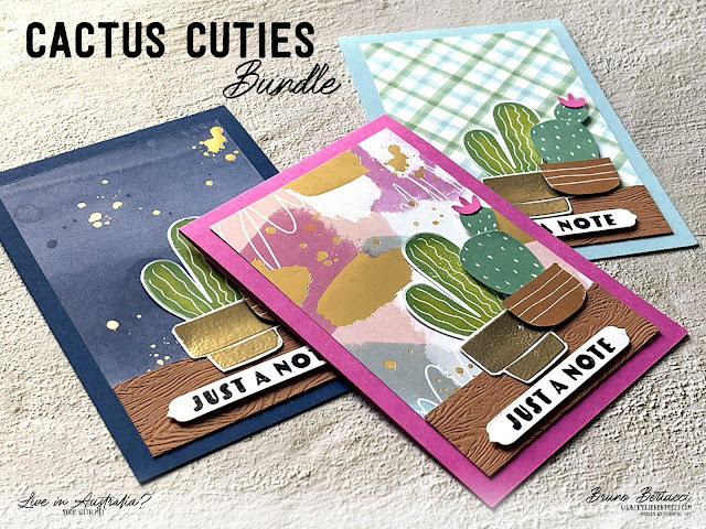 Cactus Cuties with Abstract Beauty | Breaking News!
