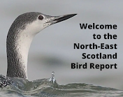 NE Scotland Bird Report