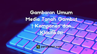 Gambaran Umum Media Tanah Gambut | Komponen dan Klasifikasi