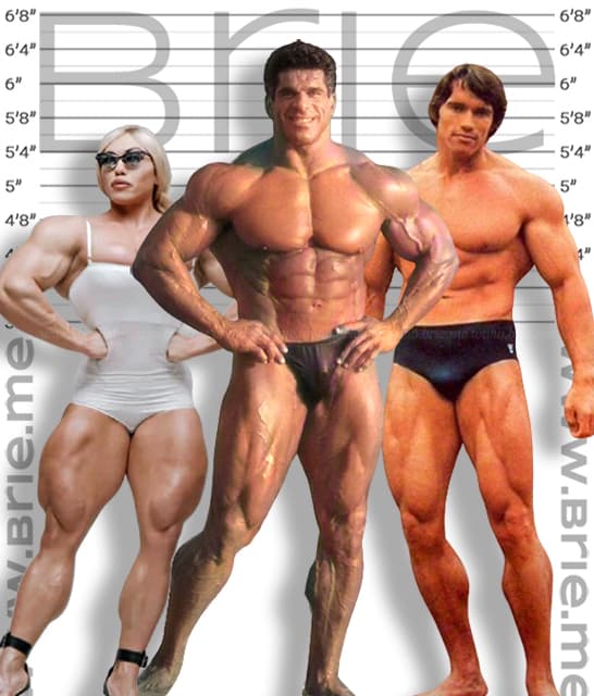 Lou Ferrigno height comparison with Nataliya Kuznetsova and Arnold Schwarzenegger