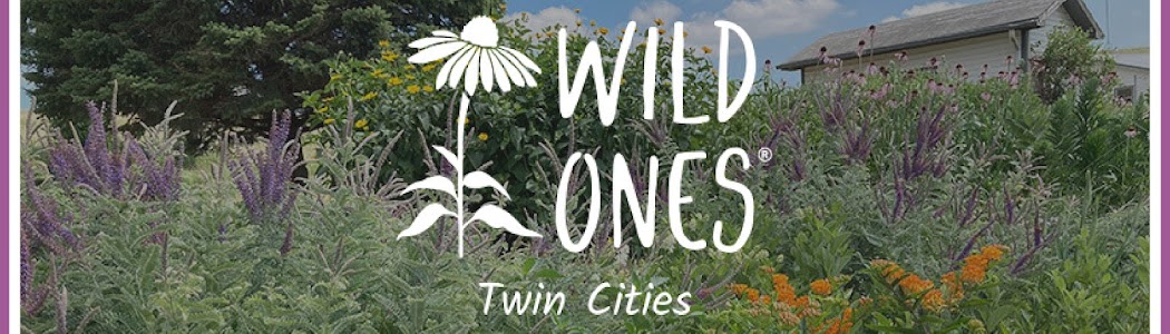 Wild Ones Twin Cities Minnesota