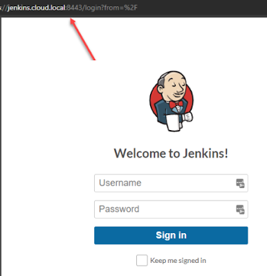 Configure SSL Jenkins Server