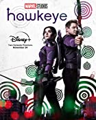 Hawkeye All Seasons Hindi 480p 720p HD Download