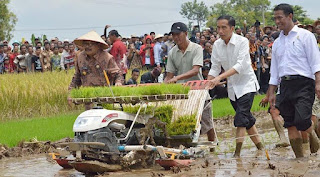 Jokowi Berkunjung ke Sintang Kalbar, Ini Rencana Agendanya